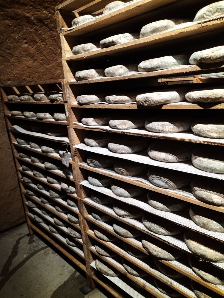 Cave à Fromages Cave à Fromages