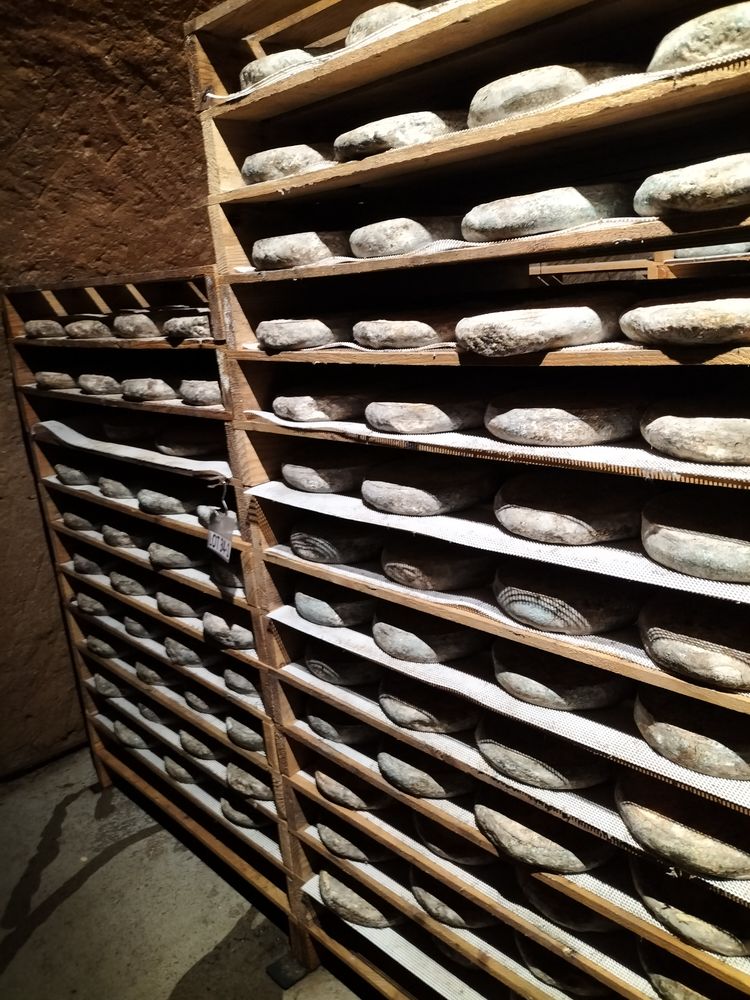 Cave à Fromages